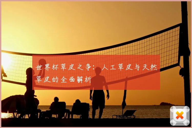 世界杯草皮之争：人工草皮与天然草皮的全面解析